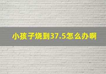 小孩子烧到37.5怎么办啊