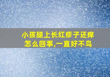 小孩腿上长红疹子还痒怎么回事,一直好不鸟