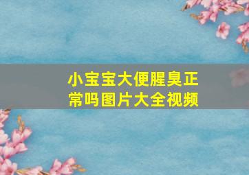 小宝宝大便腥臭正常吗图片大全视频