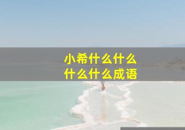 小希什么什么什么什么成语