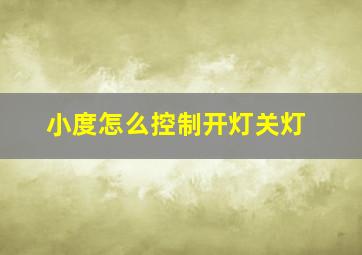 小度怎么控制开灯关灯