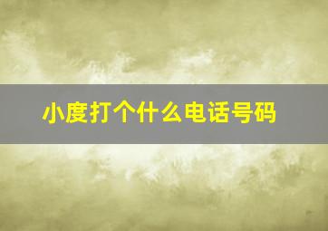 小度打个什么电话号码