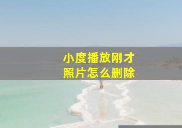 小度播放刚才照片怎么删除