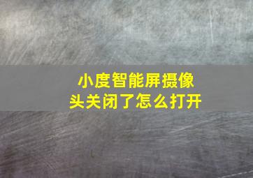 小度智能屏摄像头关闭了怎么打开