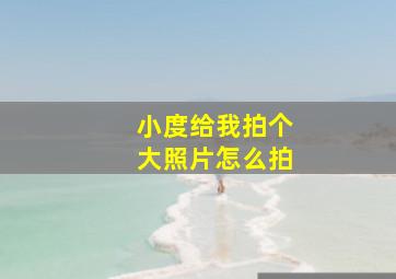 小度给我拍个大照片怎么拍