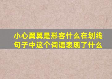 小心翼翼是形容什么在划线句子中这个词语表现了什么