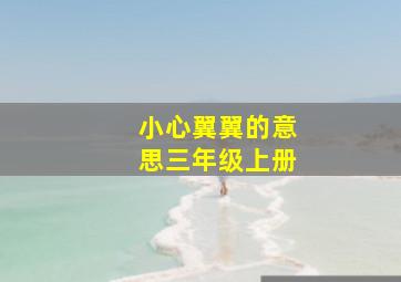 小心翼翼的意思三年级上册