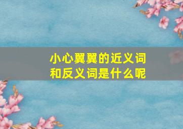 小心翼翼的近义词和反义词是什么呢