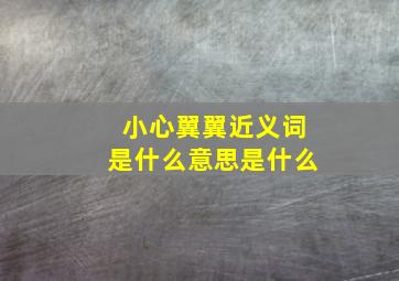 小心翼翼近义词是什么意思是什么