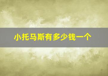 小托马斯有多少钱一个