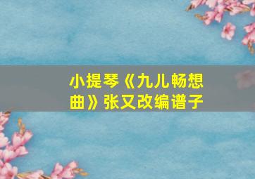 小提琴《九儿畅想曲》张又改编谱子