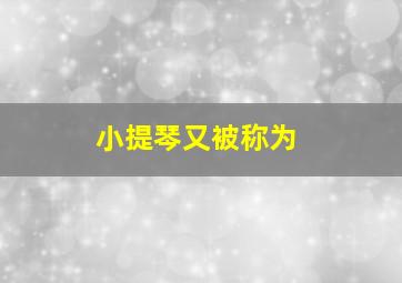 小提琴又被称为