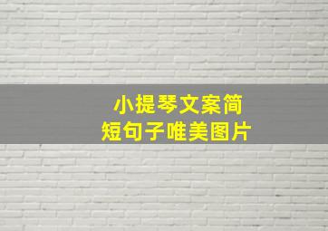 小提琴文案简短句子唯美图片