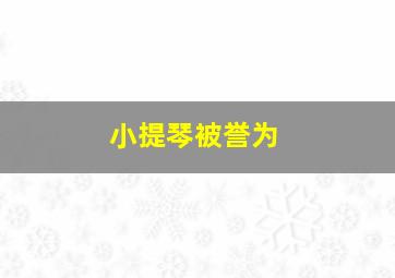 小提琴被誉为