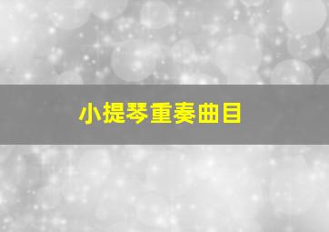 小提琴重奏曲目