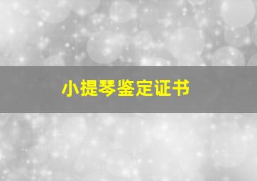 小提琴鉴定证书