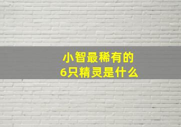 小智最稀有的6只精灵是什么