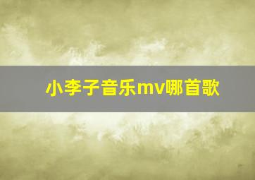 小李子音乐mv哪首歌