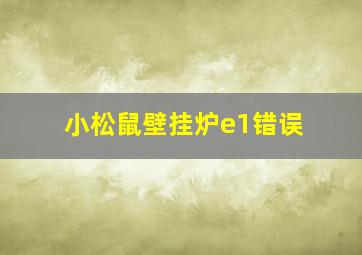 小松鼠壁挂炉e1错误