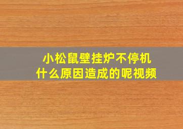 小松鼠壁挂炉不停机什么原因造成的呢视频