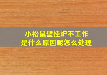 小松鼠壁挂炉不工作是什么原因呢怎么处理