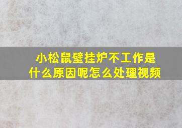 小松鼠壁挂炉不工作是什么原因呢怎么处理视频