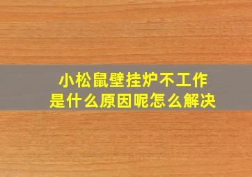 小松鼠壁挂炉不工作是什么原因呢怎么解决