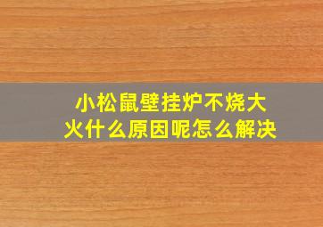 小松鼠壁挂炉不烧大火什么原因呢怎么解决