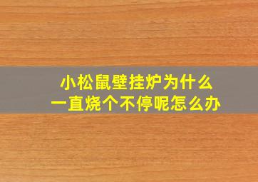 小松鼠壁挂炉为什么一直烧个不停呢怎么办