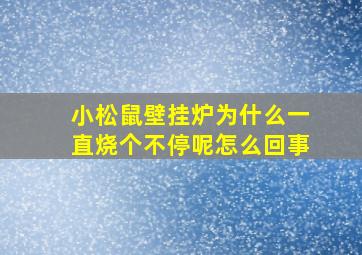 小松鼠壁挂炉为什么一直烧个不停呢怎么回事