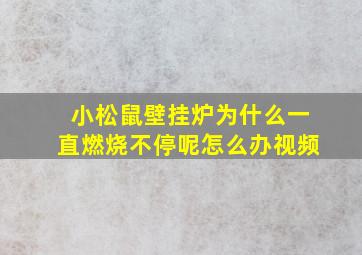 小松鼠壁挂炉为什么一直燃烧不停呢怎么办视频