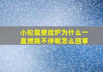 小松鼠壁挂炉为什么一直燃烧不停呢怎么回事