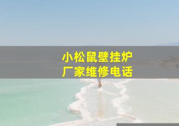 小松鼠壁挂炉厂家维修电话