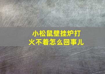 小松鼠壁挂炉打火不着怎么回事儿