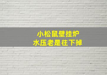 小松鼠壁挂炉水压老是往下掉