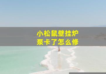 小松鼠壁挂炉泵卡了怎么修