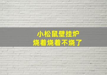 小松鼠壁挂炉烧着烧着不烧了