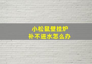 小松鼠壁挂炉补不进水怎么办