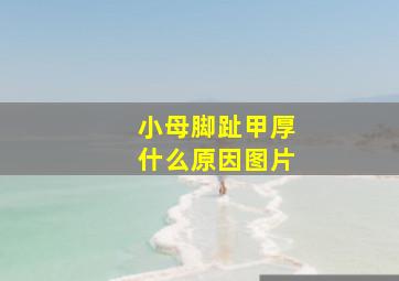 小母脚趾甲厚什么原因图片