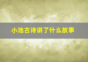 小池古诗讲了什么故事