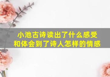 小池古诗读出了什么感受和体会到了诗人怎样的情感