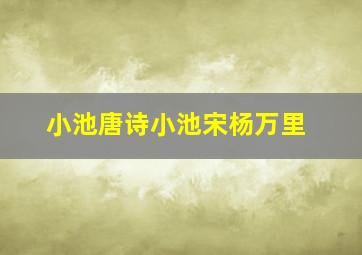 小池唐诗小池宋杨万里