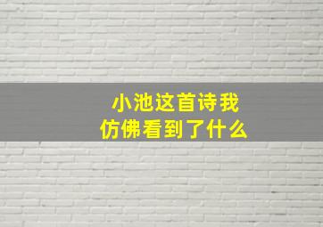 小池这首诗我仿佛看到了什么