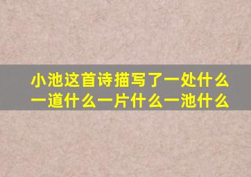 小池这首诗描写了一处什么一道什么一片什么一池什么