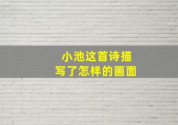 小池这首诗描写了怎样的画面