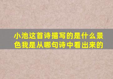 小池这首诗描写的是什么景色我是从哪句诗中看出来的