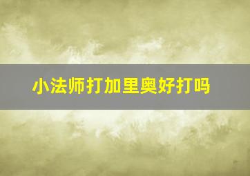 小法师打加里奥好打吗