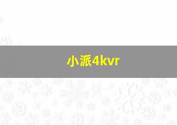 小派4kvr