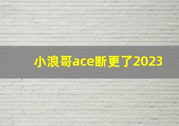 小浪哥ace断更了2023