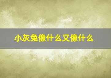 小灰兔像什么又像什么